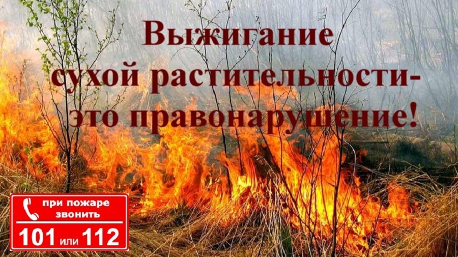 Мероприятия по профилактике и предупреждению выжигания сухой травянистой растительности.