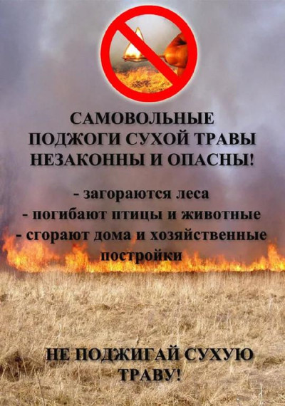 Памятка о недопустимости сжигания сухой травы:. Памятка о недопустимости сжигания сухой травы:.