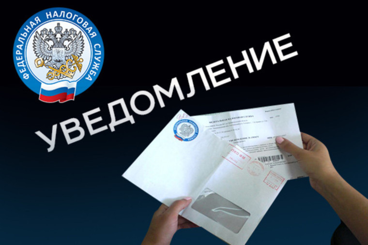 Уплатите налоги не позднее 1 декабря 2023 года. Уплатите налоги не позднее 1 декабря 2023 года.